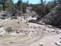 TrailTeam (34).JPG (217863 bytes)