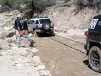 TrailTeam (37).JPG (187785 bytes)