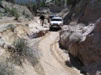 TrailTeam (40).JPG (201481 bytes)