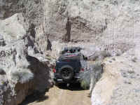 TrailTeam (41).JPG (217230 bytes)