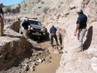 TrailTeam (8).JPG (201246 bytes)