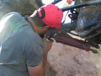 PB150027.JPG (104309 bytes)