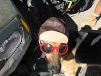 desertpm (13).jpg (103164 bytes)