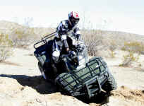 desertpm (25).jpg (163714 bytes)