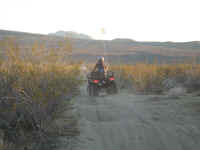 desertpm (9).jpg (88671 bytes)