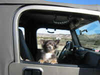 hungry valley jan 2008 004.JPG (99503 bytes)