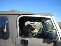 hungry valley jan 2008 009.JPG (85829 bytes)