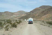 calico0209pm (0).JPG (109993 bytes)