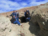 calico0209pm (14).jpg (174839 bytes)