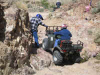 calico0209pm (22).jpg (200736 bytes)