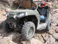 calico0209pm (45).jpg (174198 bytes)