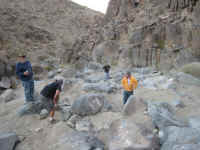 jills ol (10).jpg (66416 bytes)