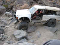 jills ol (11).jpg (61530 bytes)