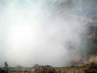 go (18).JPG (70284 bytes)