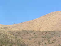 lookout (45).JPG (100450 bytes)