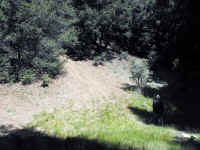 Trailmtc (15).jpg (803491 bytes)