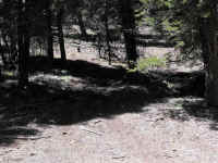 Trailmtc (20).jpg (596275 bytes)