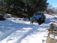 snow0109 (44).JPG (172675 bytes)