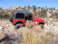 tour 09 (46).JPG (218082 bytes)