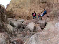 Calico0210 (4).JPG (176560 bytes)