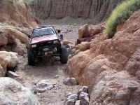 Calico0210 (5).JPG (206226 bytes)