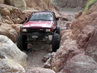 Calico0210 (6).JPG (200489 bytes)