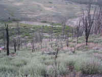 moon10 (27).JPG (152826 bytes)