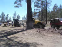 miller061310 (65).JPG (173387 bytes)