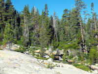 grub (26).JPG (737829 bytes)