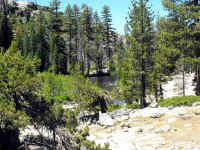 grub (69).JPG (783356 bytes)