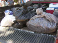 tmtc (10).JPG (139692 bytes)