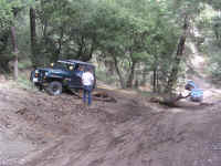 tmc100210 (16).JPG (216466 bytes)