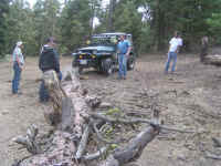 tmc100210 (22).JPG (210306 bytes)