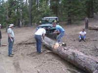 tmc100210 (23).JPG (199840 bytes)