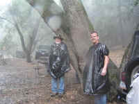 tmc100210 (28).JPG (123722 bytes)