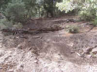 tmc100210 (2).JPG (246585 bytes)