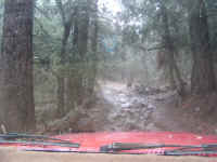 tmc100210 (30).JPG (123494 bytes)