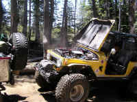 P6210037.JPG (193031 bytes)