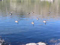 P6220038.JPG (134832 bytes)