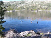 P6220039.JPG (194537 bytes)