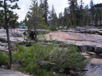 P6240055.JPG (204509 bytes)