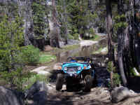 100_1565.JPG (219048 bytes)