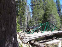 100_1585.JPG (231299 bytes)