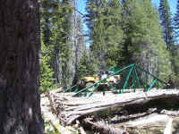 100_1586.JPG (237866 bytes)