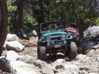 100_1593.JPG (175734 bytes)