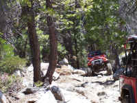 100_1597.JPG (234048 bytes)