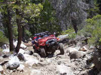 100_1600.JPG (247417 bytes)