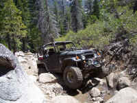 100_1607.JPG (245479 bytes)