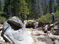 100_1627.JPG (241055 bytes)